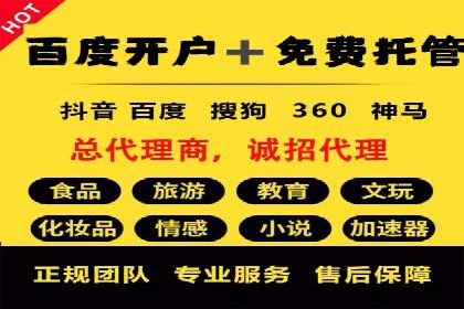 托管竞价SEM操作技巧与案例